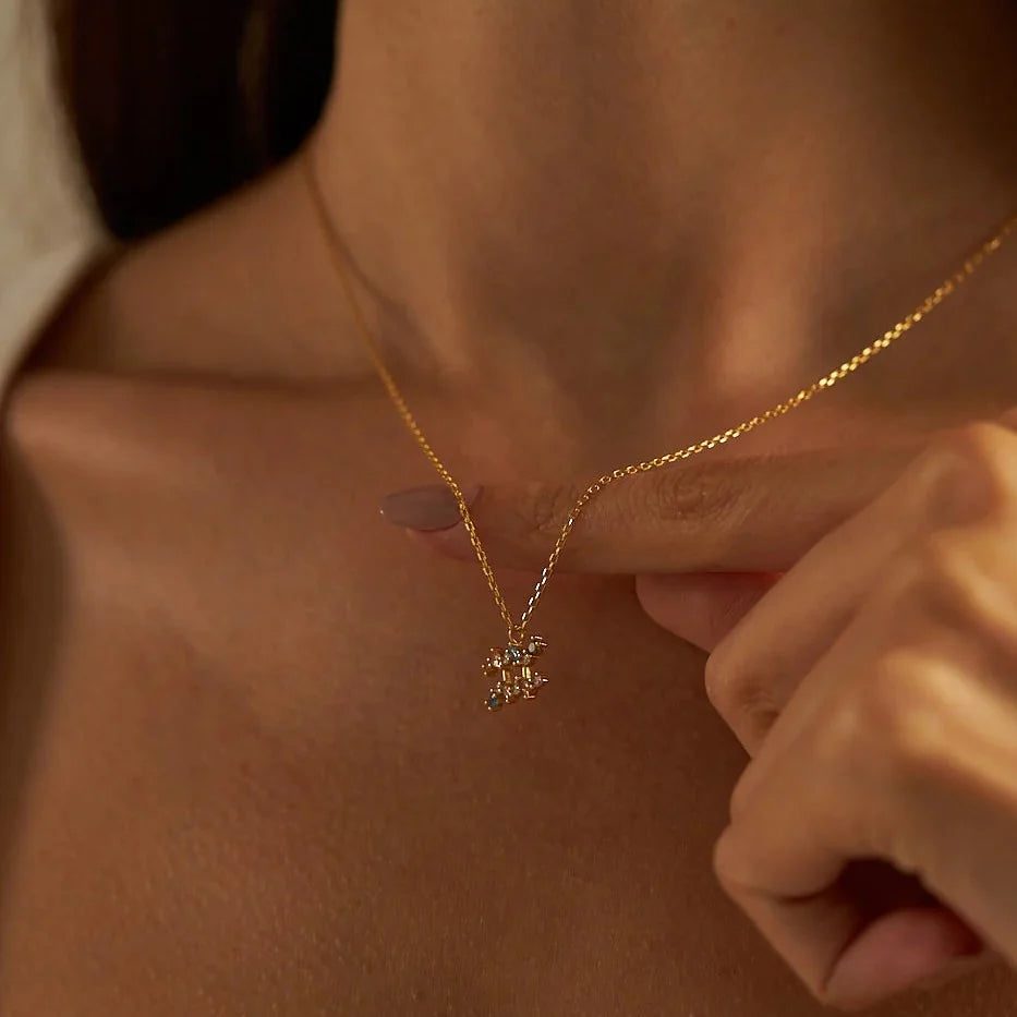 Hemelse regenboog dierenriem ketting