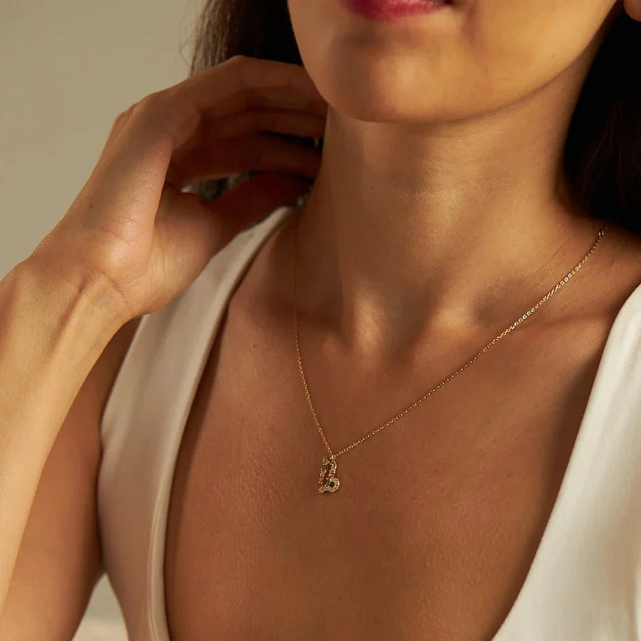 Hemelse regenboog dierenriem ketting