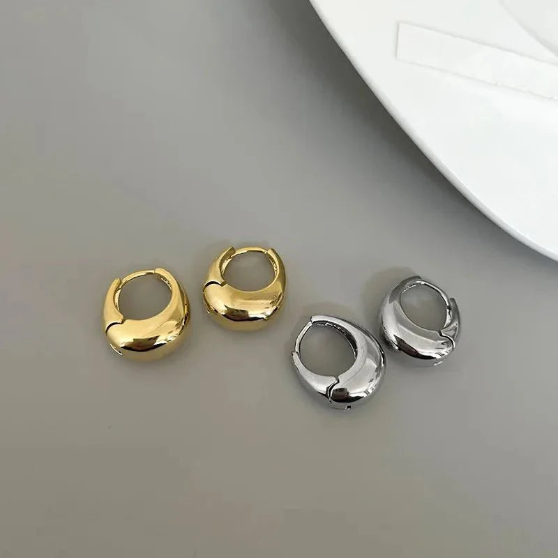 S925 Classy Hoop Dainty Earrings